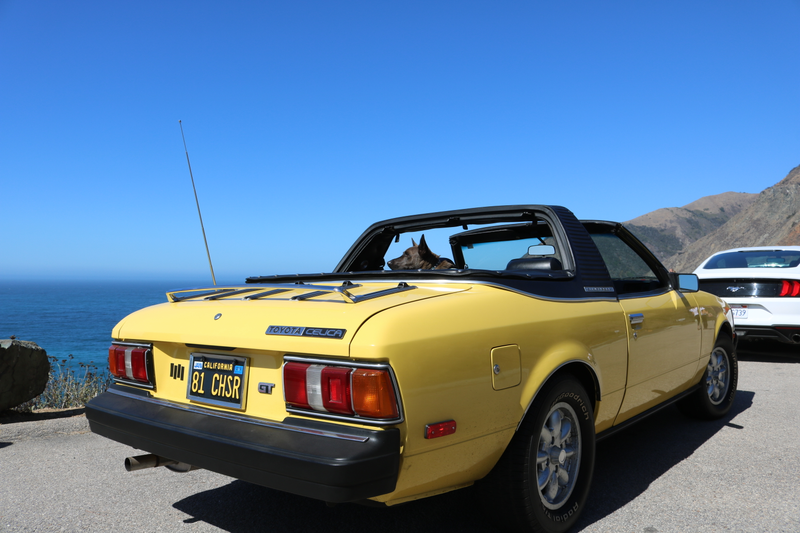 Illustration for article titled Sunday road trip photodump part 2